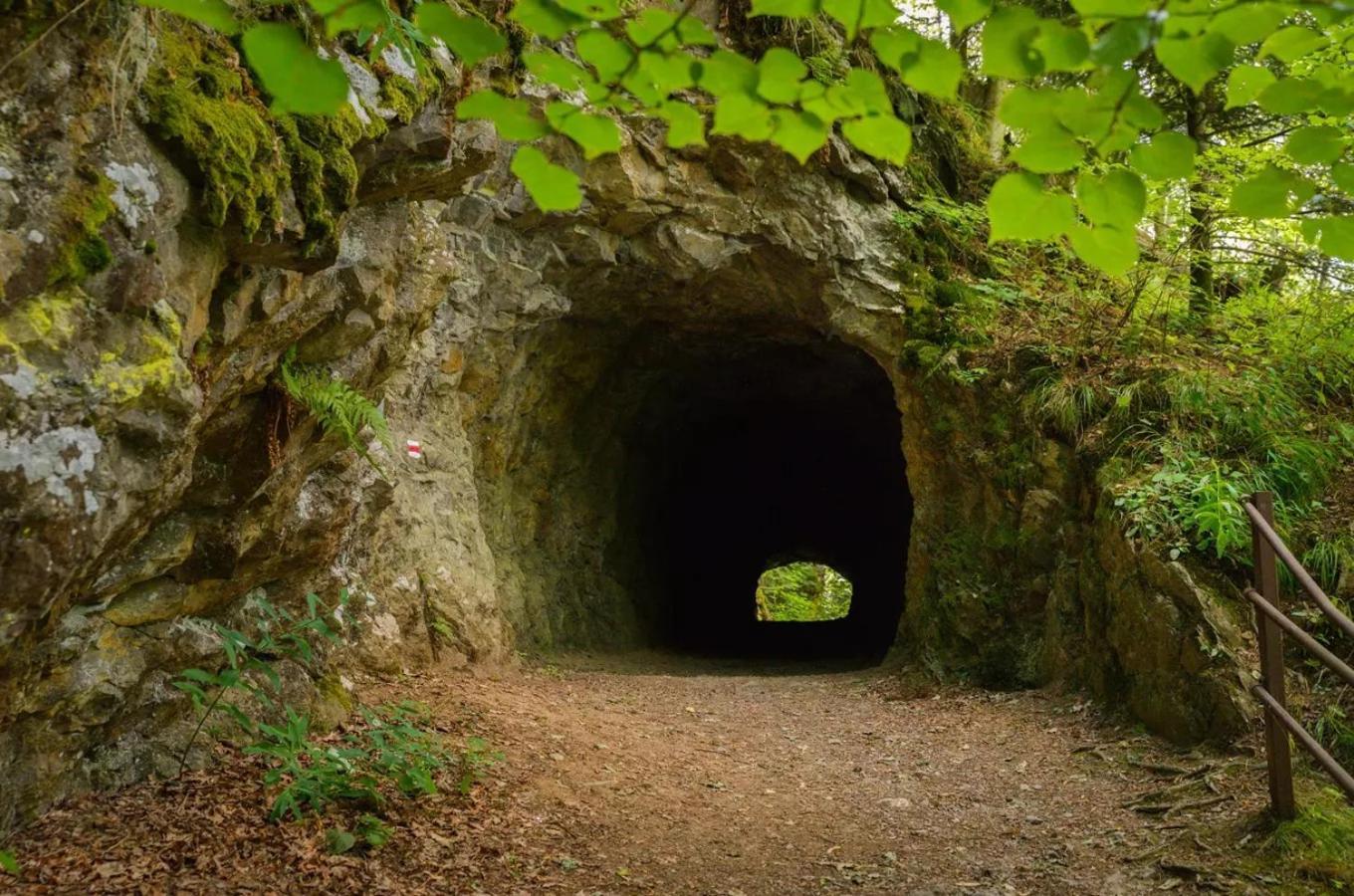 Vila srub U Holubů Malsice Exteriér fotografie